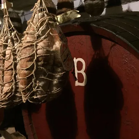 Luisa In Palazzo Bianchi Apartment Parma
