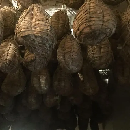 Apartment Luisa In Palazzo Bianchi Parma