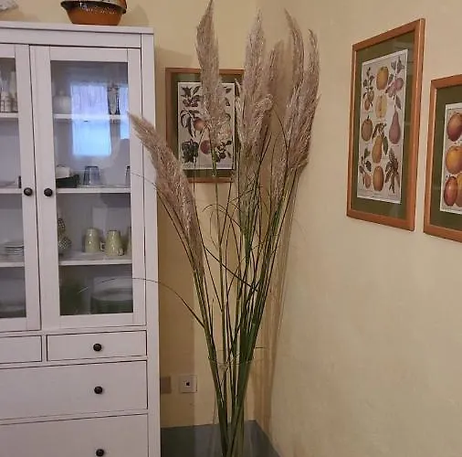 Luisa In Palazzo Bianchi Parma