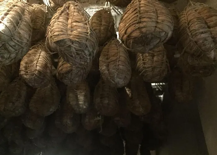 Apartment Luisa In Palazzo Bianchi Parma